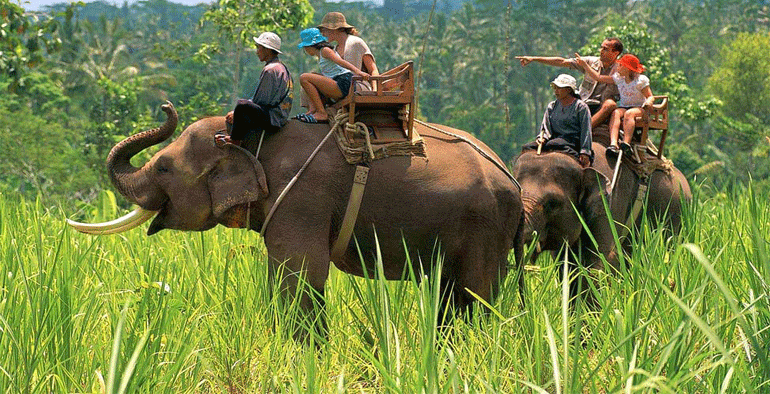 Ranikhet Nainital Tour Package